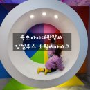 ㈜청호 | 속초 아이와 가볼만한곳 속초아이대관람차 앙젤루스 소원테마파크 후기