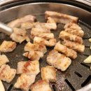 돼지왕국 이미지