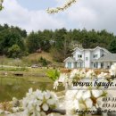 호수가에 펜션 이미지