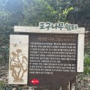 와라쉼터 이미지