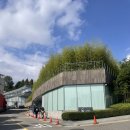 리움미술관 | [서울/용산 이태원] 리움미술관 전시 후기