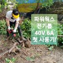 그린벌목