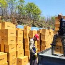 경북청과 이미지