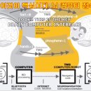 인간의 모습으로 보이는 렙틸리언의 형상변환 원리와 포착된 장면 이미지