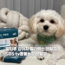 제형농장 이미지