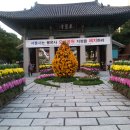 봉은사 선불당 이미지