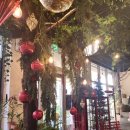 오쎄 | 사당역 분위기 좋은 식물 카페 [오쎄] 방문 후기