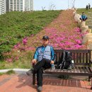 (주)동창사 Daum카페