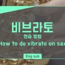 비블 이미지