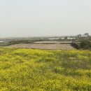 빌롱스테이2 이미지