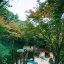 아양사랑숲 이미지