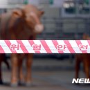 장세영농장 이미지