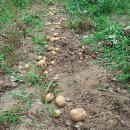 구산목장 이미지