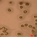 경주시농업기술센터 이미지