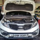 대한부란자 이미지