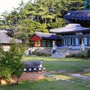 “이 평화로운 분위기 때문에 계속 찾게 되네요”… 108톤 청동 대불 아래서 마주하는 신록여행지 이미지
