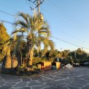 웨스티하우스 이미지