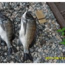 사량패밀리펜션