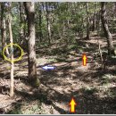 상학초등학교 이미지