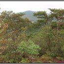 덕적면사무소 이미지