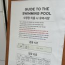 로얄 사우나 | 제주도 섭지코지 휘닉스아일랜드 사계절온수풀 A동 수영장/사우나, C동 로얄 숙소 후기