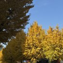 선화로8길 | 따끈따끈 대전 당일치기 여행👩🏻‍🍳🫶🏻👨🏻‍🍳