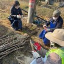 구구팔팔 이미지