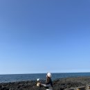 수월봉민박 | 제주도 전기 스쿠터 &#34;쓩쓩렌탈샵&#34; 제주 애월 커플 여행 추천 전동 스쿠터 조작법
