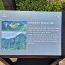 한반도면옹정리마을회 | 영월 여행 필수코스, 선돌 & 한반도지형 & 한반도뗏목마을