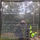 초안산 하늘꽃정원 | 초안산 수국동산 ~ 정상 ~ 하늘꽃 정원 걸었네^^