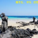 [제주도] 3월19-20일(1박) 제주 100대 '오름'투어 ▷우도 유채꽃 이미지