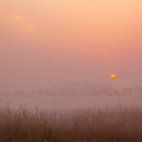 소래습지생태공원 이미지