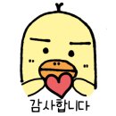 제주인포항 이미지