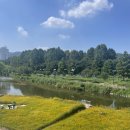 황혜원유외과의원 이미지