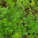 현기농장 이미지