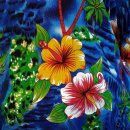 도안대로 이미지