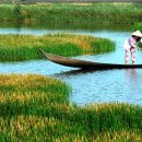 한국신랑베트남신부이야기 이미지