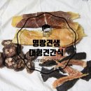 명랑견생 이미지