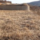 나무와숲어린이집 이미지