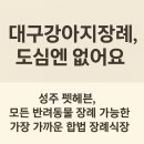헤븐 | 대구 강아지·고양이 장례식장, 제일 가까운 펫헤븐 후기와 철저한 개별단독화장