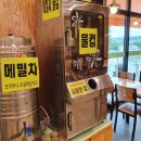 메밀꽃이피었습니다 이미지