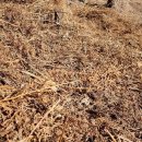 무진장농원 이미지