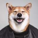 포토펀 이미지