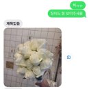 가성비 갑 | 웨딩 촬영 부케 후기 - 분당 서현 '플라젠트(Flasent)