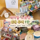 그린세탁마을 | 속초해변 새마을 소품샵 8개 투어 1탄: 고양이골목415 - 옥란푸딩 - 희희횸횸 - 호두잡화점