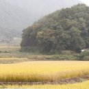 애인농장