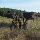 연천통현리지석묘 이미지