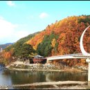 만추 - 달성군 | 만추