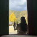 2022.10.23. 단풍보러 홍천 갔다옴 (수타사/디퍼센트 카페)