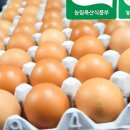 금포농장 이미지